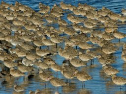 USA_Mexico2006-2007-058